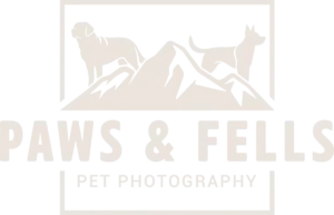 Paws & Fells Pet Photography